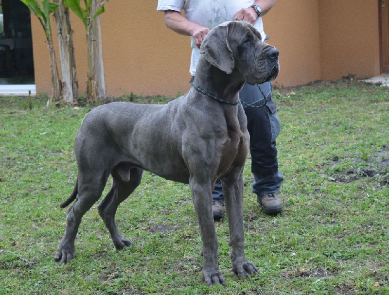 Enzo-b a della baia azzurra